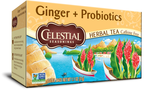 Ginger + Probiotics